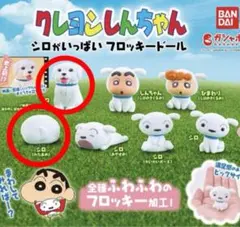 クレヨンしんちゃん　シロがいっぱい　フロッキードール　新品未開封 2体セット