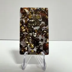 【希少】ロシア産　セイムチャン　パラサイト隕石　コレクション整理　標本