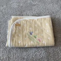 Item thumbnail for item 8d2dd91a-9c59-407b-aa39-44c356a01c2a