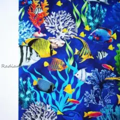 SALE220.海の中☆USAコットン☆シーチング☆はぎれ☆布生地☆青ブルー