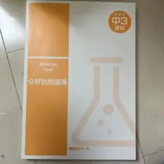 Item thumbnail for item e3c5691c-6b58-4a75-abf2-d4ab919ef09b