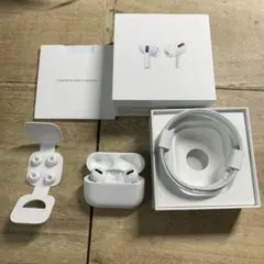 AirPods Pro 第1世代 MWP22