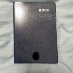 Item thumbnail for item 3d4f87fc-1a54-4868-a567-50d9efdebfa0