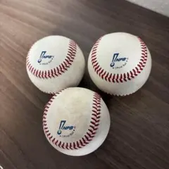 NPB 日本シリーズ 2021 公式球 試合球 実使用 ボール - メルカリ