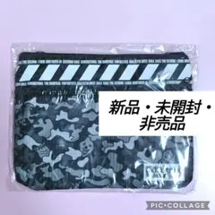 EX FAMILY FC継続特典 非売品 サコッシュ 新品 未使用