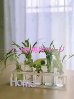 134ピカチュウ-ナニっ？ポケットモンスター ワッペン 30種から選 アイロン熱