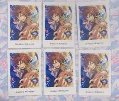 三毛縞斑 ぱしゃっつセット