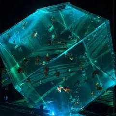 Item thumbnail for item b3edd47f-0d68-40f3-984e-630232226d84