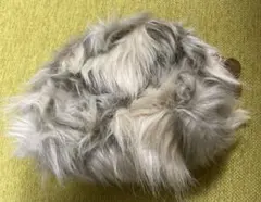 Item thumbnail for item f8c3f3b2-c837-4988-bd96-0cc5ae41bea4