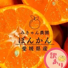 あま〜いぽんきゃん✨愛媛県西宇和産　ポンカン8キロ　訳あり　減農薬