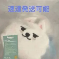 TXT PPLUBATU スビン クロスバッグ ヨンモン プルバトゥ