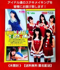 YG MUSE WINTER SELECTION 2014【送料無料匿名配送】