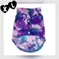 Item thumbnail for item 9d29e943-da1f-48d5-9fc6-afbdd42a1011