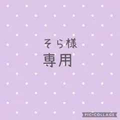 専用 ハンドメイド リップポーチ 2個セット ユキエモン ②