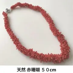 天然 赤珊瑚 あかさんごネックレス 50cm ヤタラ 枝 コーラル 品質保証 