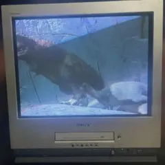 Item thumbnail for item c3487f47-033d-441e-b96f-1321b119db6d