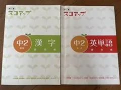 momo様 リクエスト 2点 まとめ商品