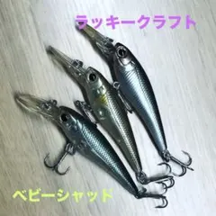 2026年最新】ベビーシャッドの人気アイテム - メルカリ