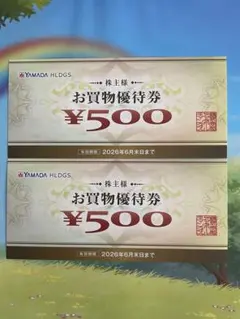 ヤマダ電機　お買物優待券