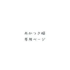 文豪ストレイドッグス5冊セット