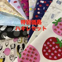 80 特別価格　ハギレセット　サイズは説明文に　10枚セット　遊園地柄　いちご柄