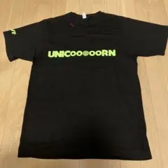 ユニコーン ミュージシャン