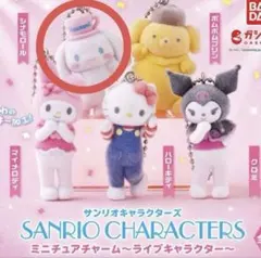 サンリオキャラクターズ ミニチュアチャーム