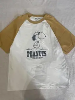 Item thumbnail for item 18a47ca4-467d-4b40-8349-c3fd735ee554