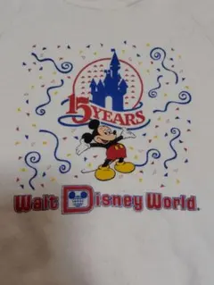 希少　80S　ディズニー　WaltDisneyWorld　15YEARS