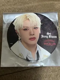 TREASURE PULSE ON ツアー 缶バッジ ジョンファン