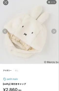 Item thumbnail for item 69252f50-d6df-46c3-bb57-80cc1e401650