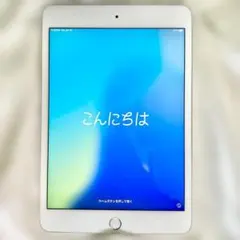 iPad mini 第5世代 64GB Cellular SIMフリー 動作品
