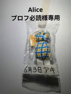 Alice プロフ必読様専用