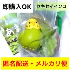 ◎セキセイインコ・グリーン◎あまやどりフィギュア◎ガチャガチャ◎即購入OK♪
