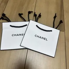 CHANEL ショップ袋 2枚セット ホワイト