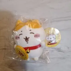 Item thumbnail for item b3063786-cef8-4e99-80fc-3643393878d9