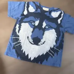 Item thumbnail for item 1fad8ab3-f23f-4302-a69c-3ba66c5c9889