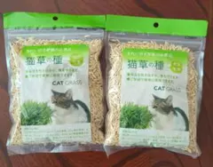 Item thumbnail for item 190f6f14-32cc-4206-9db4-52fc81da3102