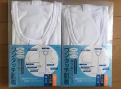 Item thumbnail for item 289e23fc-fc81-49f0-8991-c7ffd4627804