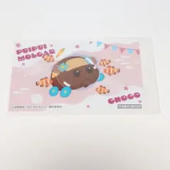 まるくじ モルカーin水族館 / 購入特典 ミニブロマイド / チョコ