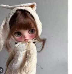 ブライスカスタムオーダーページ 2026年最新】ブライスカスタムオーダーの人気アイテム - メルカリ