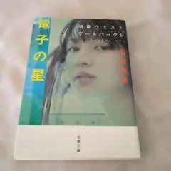 電子の星 石田衣良 池袋ウエストゲートパーク IV