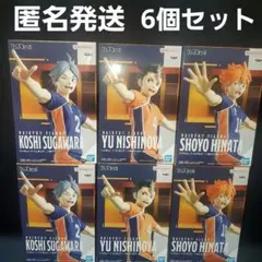 ハイキュー!! フィギュア 6点(影山、西谷×2種、菅原、日向×2種