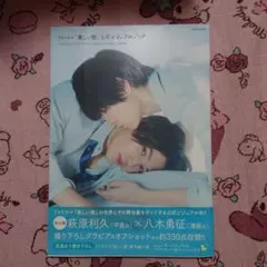 TVドラマ「美しい彼」公式ビジュアルブック