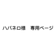 ハバネロ(月)ちゃん様 リクエスト 2点 まとめ商品