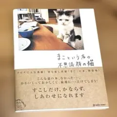 Item thumbnail for item eb8de784-b286-4ca4-b96e-2ff4d3798322