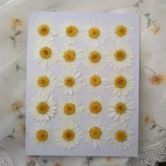 lala.fluffy shop.様 リクエスト 2点 まとめ商品