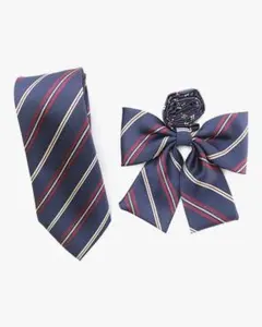 ストライプネクタイとリボンセット