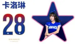 2026　WBC　28　卡洛琳　キャロリン　応援　　はっぴ　ブルー 2026年最新】28卡洛琳、の人気アイテム - メルカリ