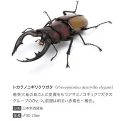 mokimoki様 リクエスト 3点 まとめ商品